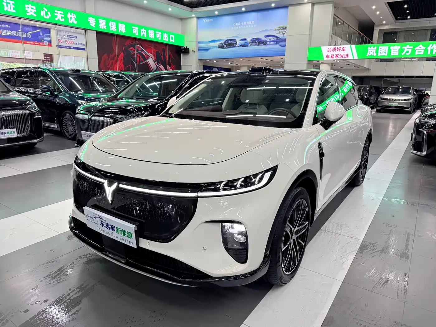 Voyah Auto Voyah Zhiyin 2025 Base