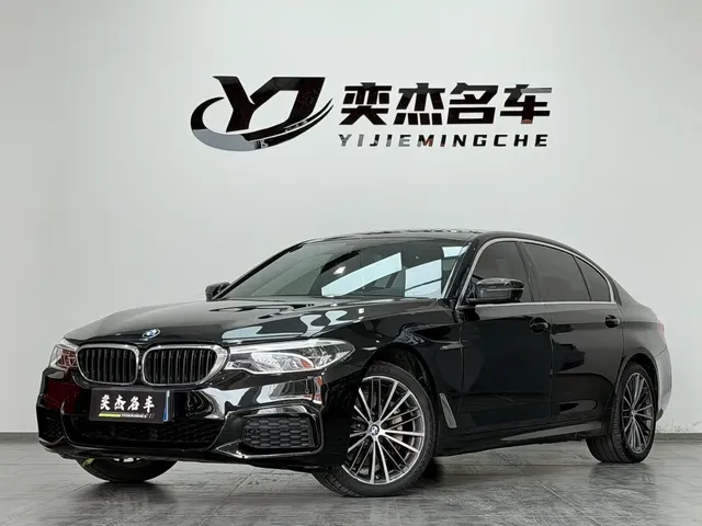 BMW 5 Series 2020 530Li Exclusive M Sport Package