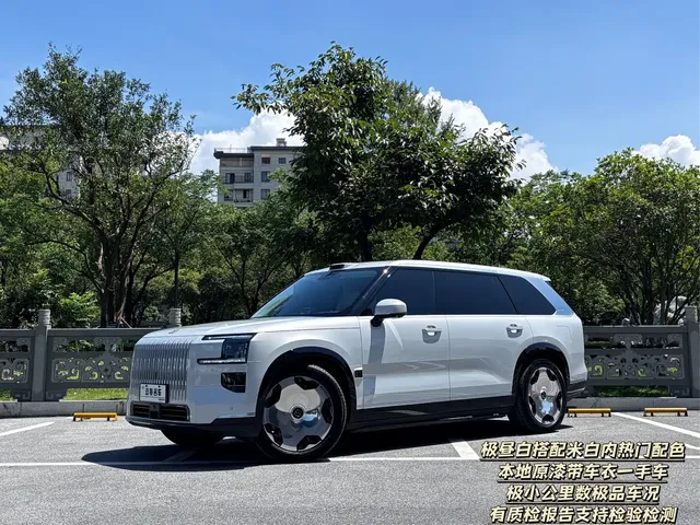 ZEEKR 9X 2025 Model Standard