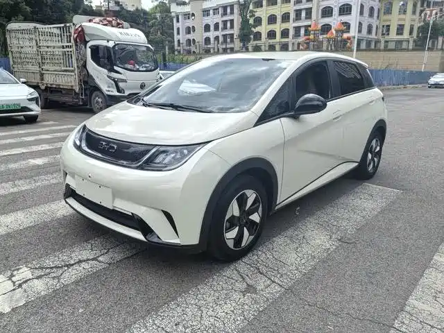 BYD Dolphin 2024 Glory Edition 420km Freedom Edition