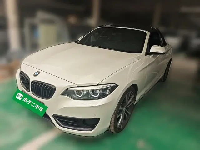 BMW 2 Series (Import) 2019 225i Convertible Coupe Exclusive M Sport Package