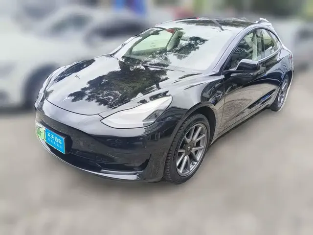 Tesla Model 3 2022 Model Rear-Wheel Drive Version