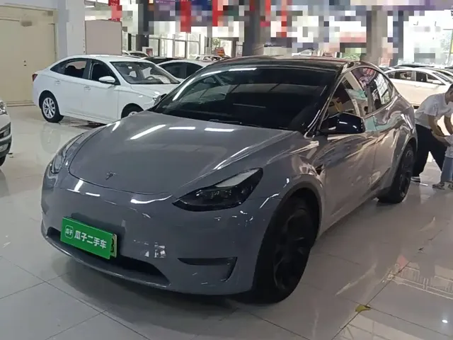 Tesla Model Y 2021 Standard Range Rear-Wheel Drive