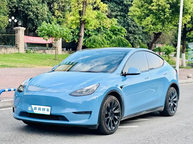 Tesla Model Y 2021 Long Range All-Wheel Drive 3D7