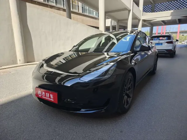 Tesla Model 3 2021 Standard Range Rear-Wheel Drive Upgrade