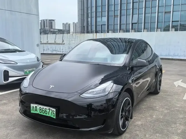 Tesla Model Y 2023 Rear-Wheel Drive Edition