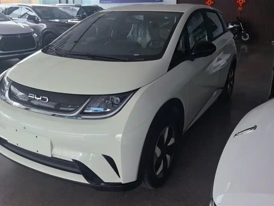 BYD Dolphin 2023 420km Freedom Edition