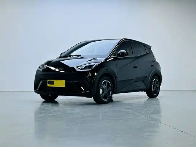 BYD Seagull 2024 Glory Edition 305km Freedom Edition