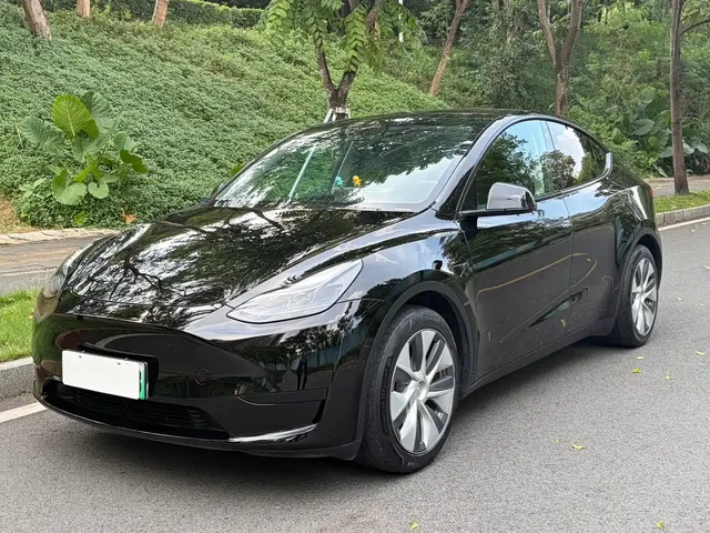 Tesla Model Y 2022 Rear-Wheel Drive Version