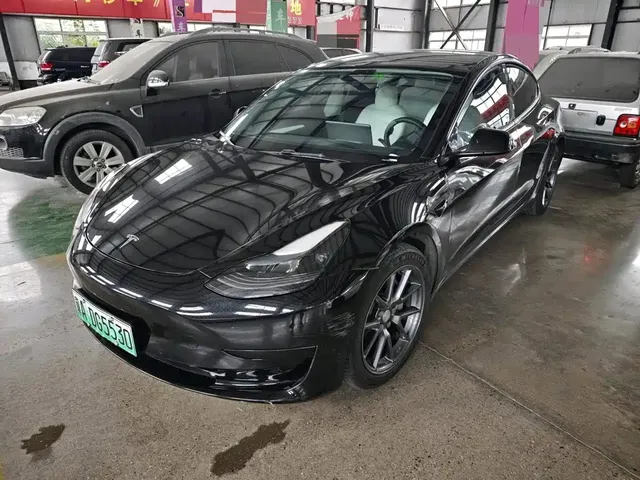 Tesla Model 3 2022 Model Rear-Wheel Drive Version