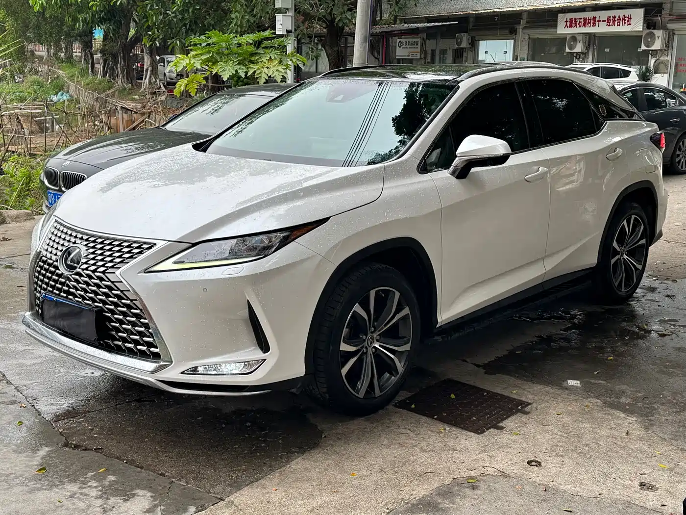 Lexus RX 2021 300 AWD Special Edition