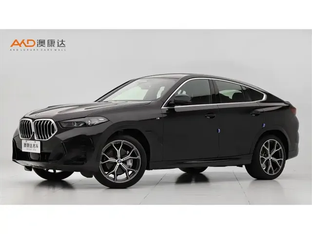 BMW X6 2023 xDrive30i M Sport Package