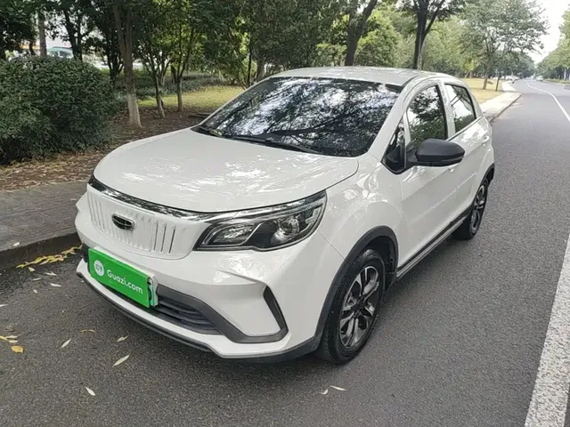Geely Geometry EX3 Kung Fu Bull 2021 Strong Bull
