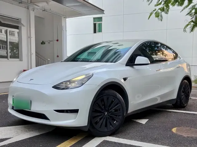 Tesla Model Y 2022 Rear-Wheel Drive Version