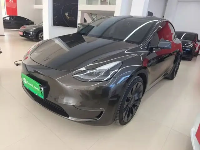 Tesla Model Y 2022 Performance High-Performance All-Wheel Drive Version