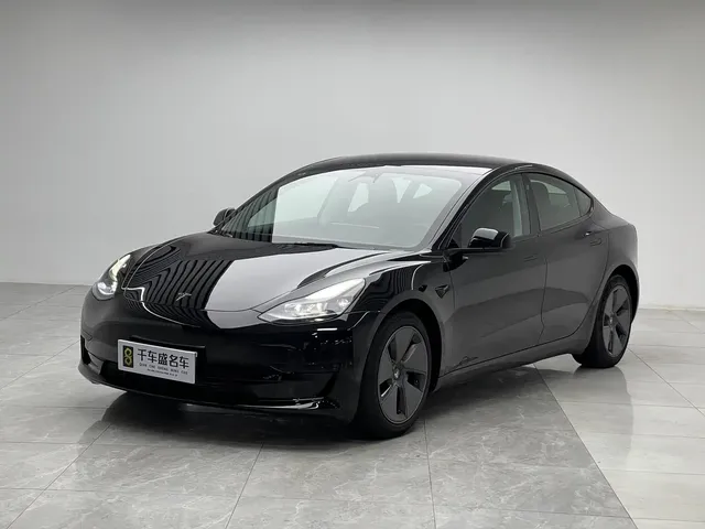 Tesla Model 3 2022 Model Rear-Wheel Drive Version