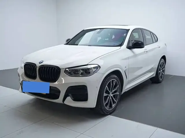 BMW X4 2019 xDrive25i M Sport Package
