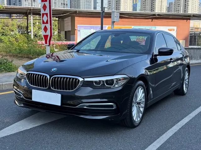 BMW 5 Series 2019 530Li Leading Luxury Package