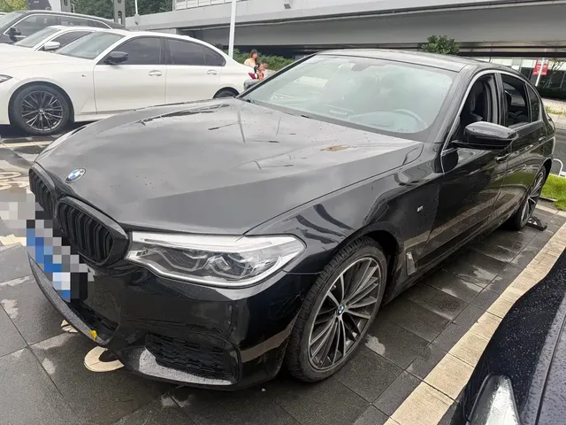 BMW 5 Series 2020 530Li Exclusive M Sport Package