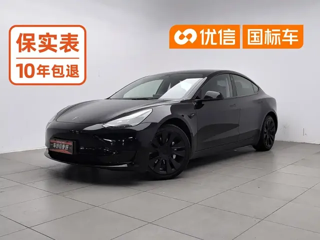 Tesla Model 3 2021 Standard Range Rear-Wheel Drive Upgrade 3D6