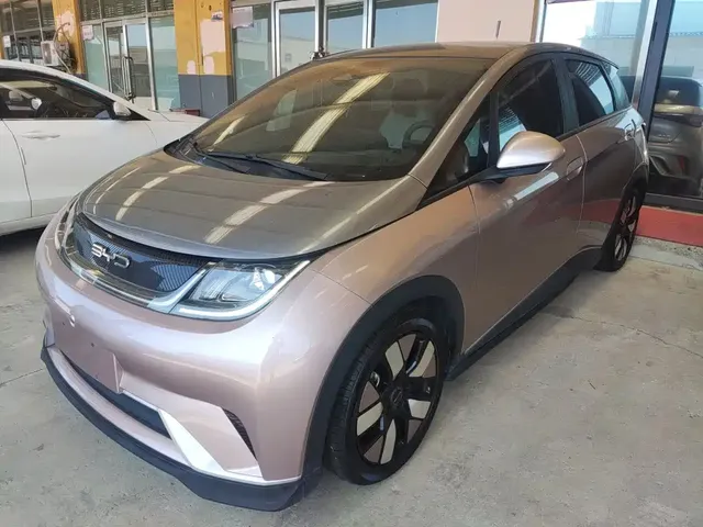 BYD Dolphin 2021 401km Knight Edition
