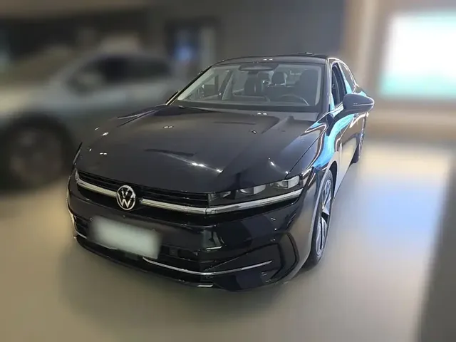 Volkswagen Magotan 2024 380TSI DSG Ultimate Edition