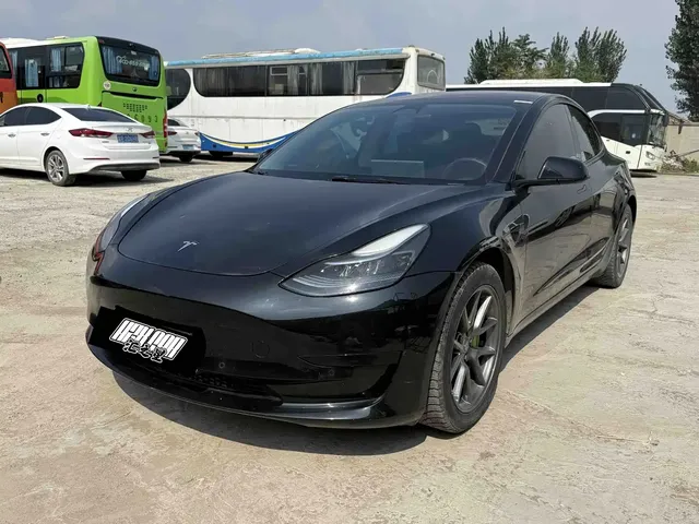 Tesla Model 3 2022 Model Rear-Wheel Drive Version