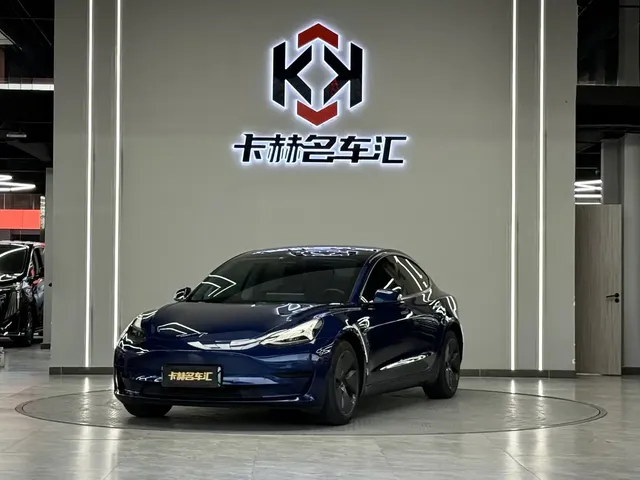 Tesla Model 3 2022 Model Rear-Wheel Drive Version