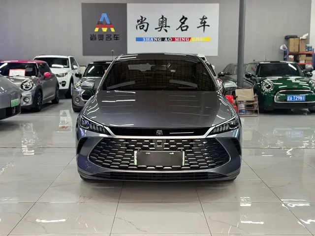 BYD Qin PLUS 2025 DM-i Smart Drive 55KM Leader