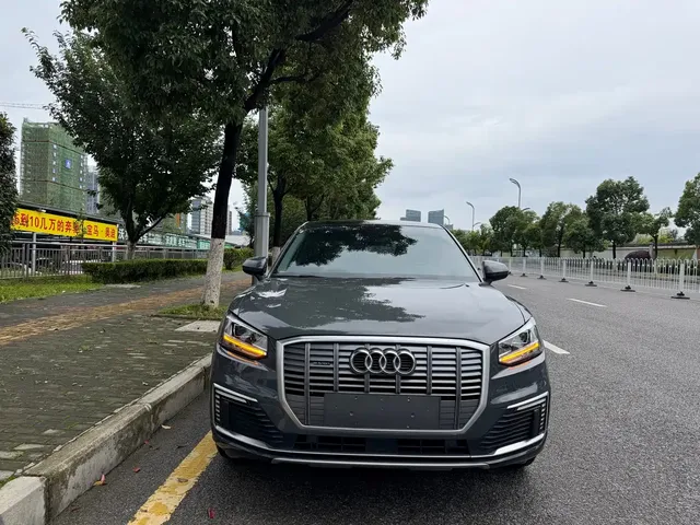 Audi Q2L e-tron 2019 Q2L e-tron Pure Electric Smart Enjoyment