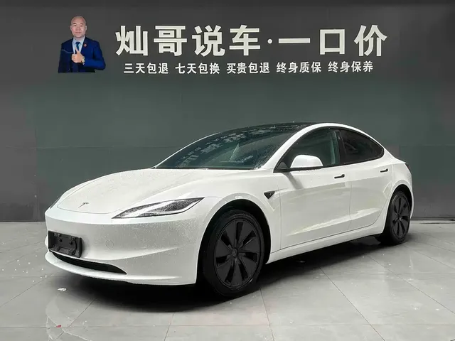 Tesla Model 3 2025 Model Rear-Wheel Drive Edition