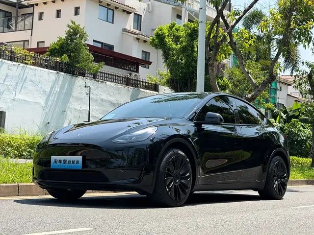 Tesla Model Y 2022 Rear-Wheel Drive Version