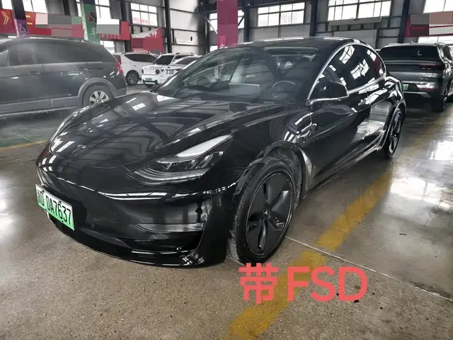 Tesla Model 3 (Import) 2019 Long Range RWD Version