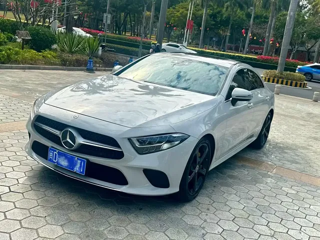 Mercedes-Benz CLS 2020 CLS 300 Luxury