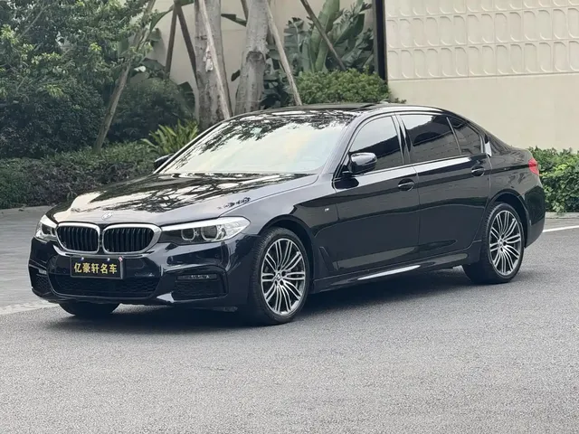 BMW 5 Series 2019 530Li Leading M Sport Package