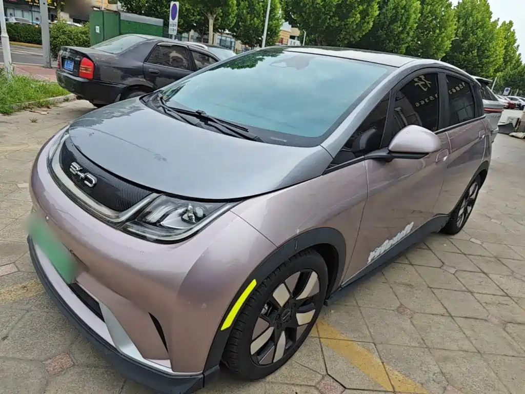 BYD Dolphin 2021 401km Knight Edition