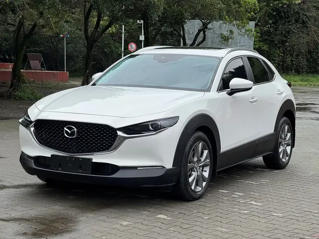 Mazda CX-30 2021 2.0L Auto Premium Joy Type
