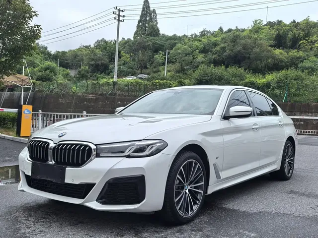 BMW 5 Series 2021 530Li Leading M Sport Package
