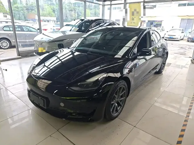 Tesla Model 3 2021 Standard Range Rear-Wheel Drive Upgrade