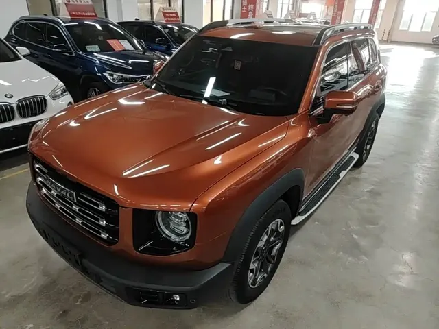 Haval Big Dog 2021 2.0T DCT 4WD Chinese Rural Dog Edition