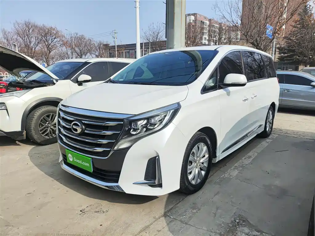 GAC Trumpchi M8 2020 Pilot 390T Premium Edition