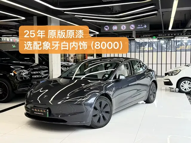 Tesla Model 3 2023 Rear-Wheel Drive