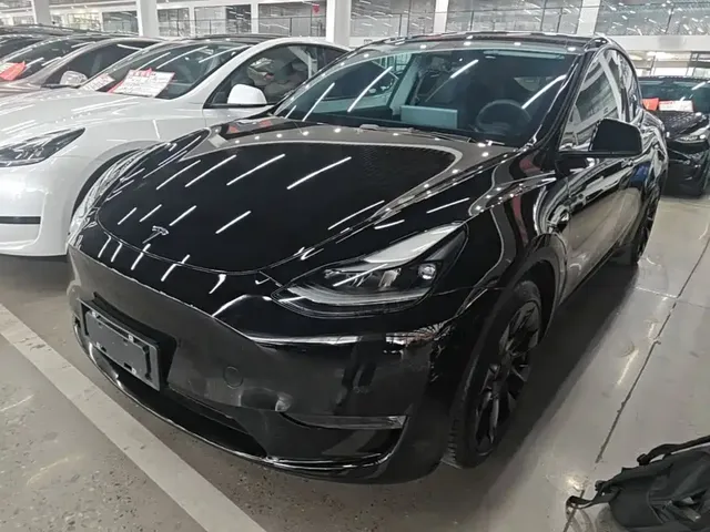 Tesla Model Y 2021 Standard Range Rear-Wheel Drive