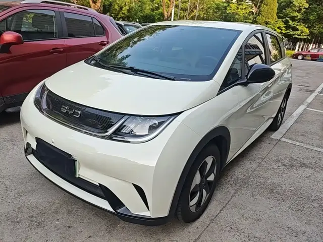 BYD Dolphin 2025 420km Freedom Edition