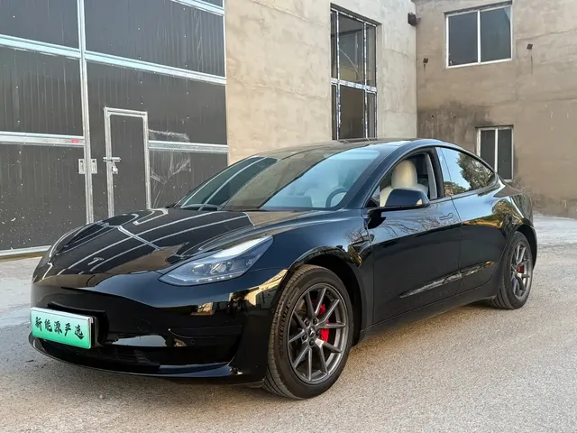 Tesla Model 3 2022 Model Rear-Wheel Drive Version