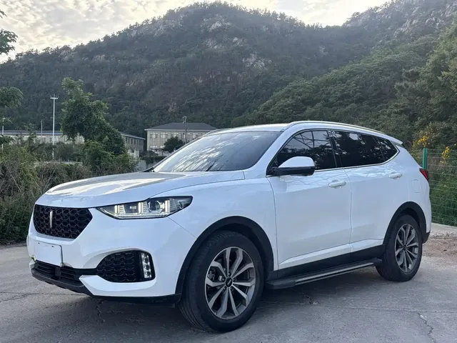 WEY VV6 2019 2.0T 2WD Flagship China VI