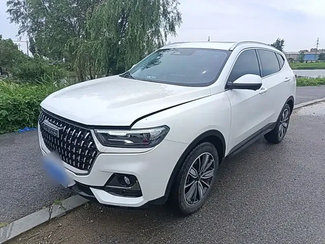 Haval H6 2023 National Trend Edition 1.5T Automatic Champion