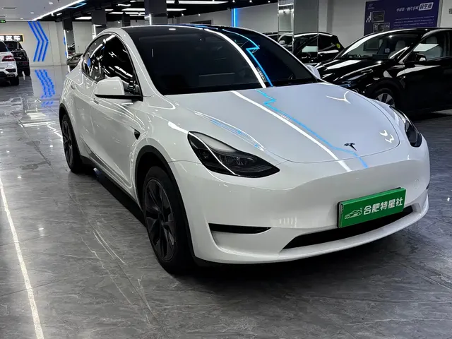 Tesla Model Y 2024 Rear-Wheel Drive Version