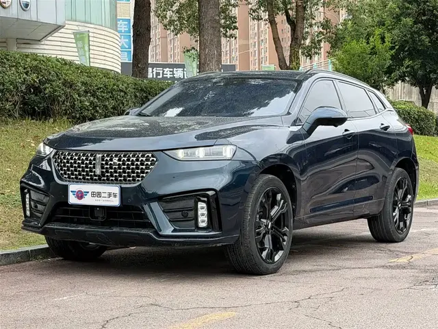 WEY VV7 2020 Model 2.0T Flagship