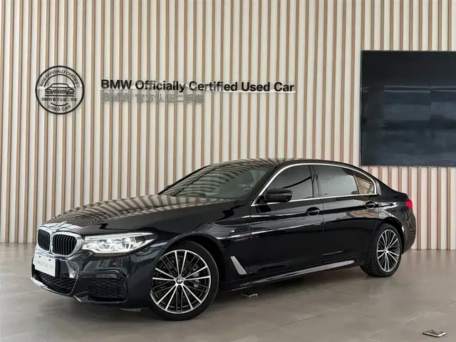 BMW 5 Series 2020 530Li Exclusive M Sport Package